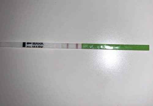 Test ovu 25.09