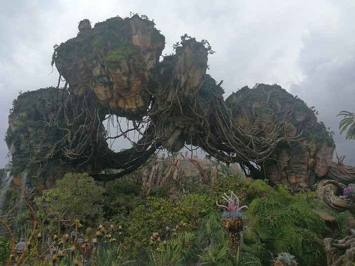 Viaje de novios... ¡¡¡disney World & Universal Orlando!!! - 4
