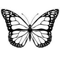 MARIPOSA AGRADECIMIENTO