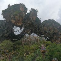 Viaje de novios... ¡¡¡disney World & Universal Orlando!!! - 4