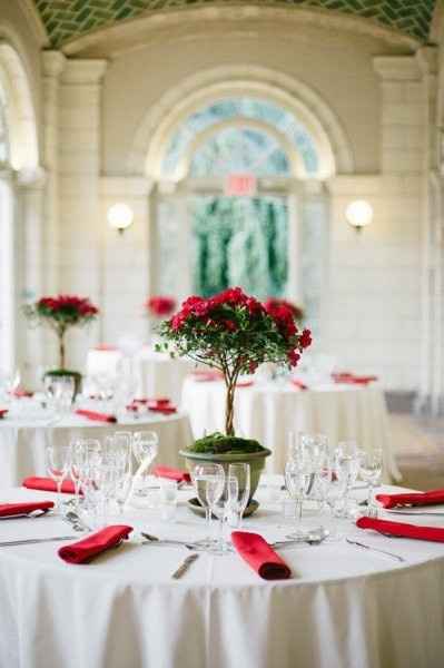 Mi banquete de boda