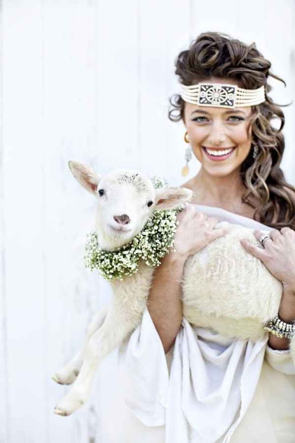 Ideas boda rural