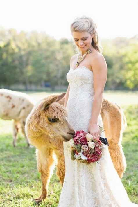 Ideas boda rural