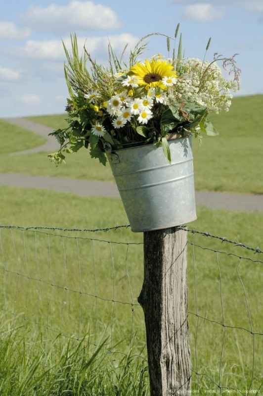 Ideas boda rural