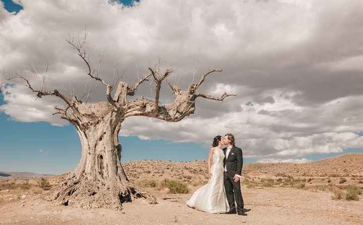 Bodas en Almería 