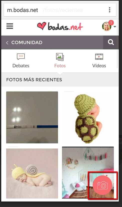 nueva app