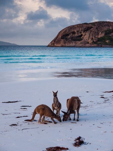 2. Australia 
