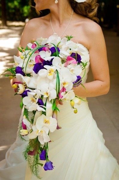 4. Orquídeas