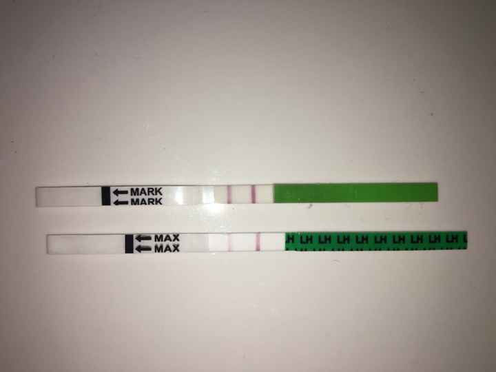 Resuelvo dudas sobre los to (test de ovulacion) - 3