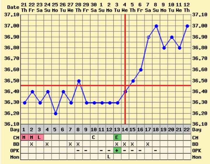 Decálogo de las gráficas de temperatura basal - 1