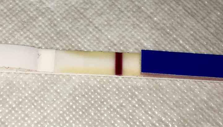 Decálogo de las gráficas de temperatura basal - 2