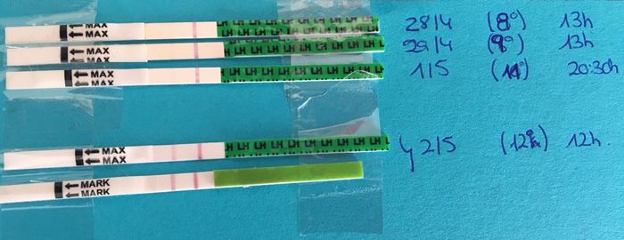 Resuelvo dudas sobre los to (test de ovulacion) - 1