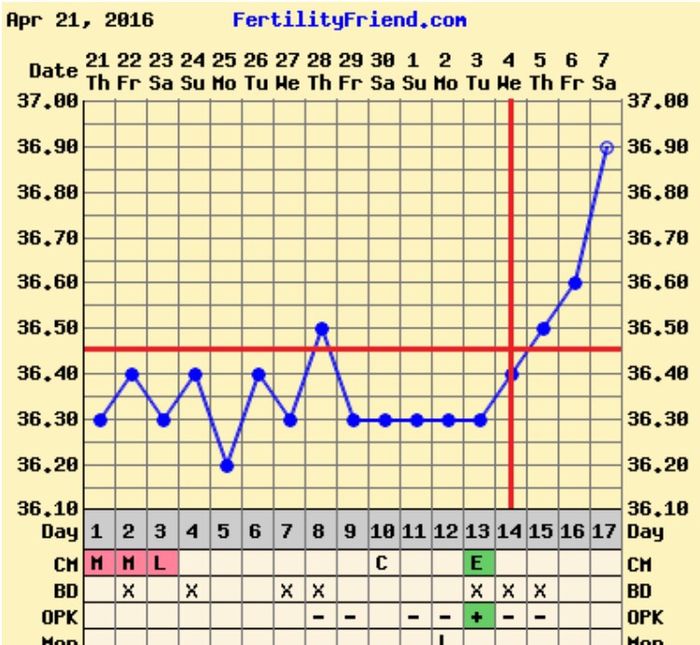 Decálogo de las gráficas de temperatura basal - 1