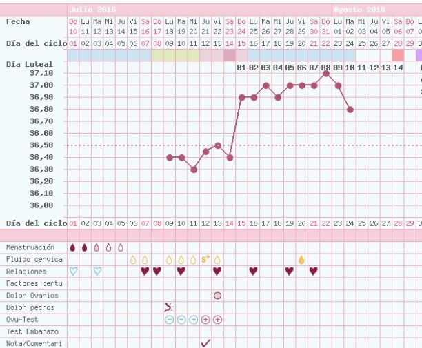 Decálogo de las gráficas de temperatura basal - 1