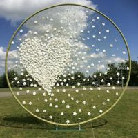 Arco con decoración alternativa - 1