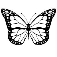 plantilla mariposa