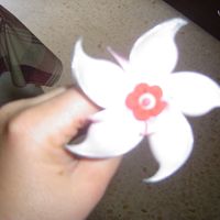 flor de peladilla