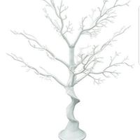 árbol de los deseos - 1