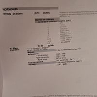 Buscadoras marzo 2024 - 1