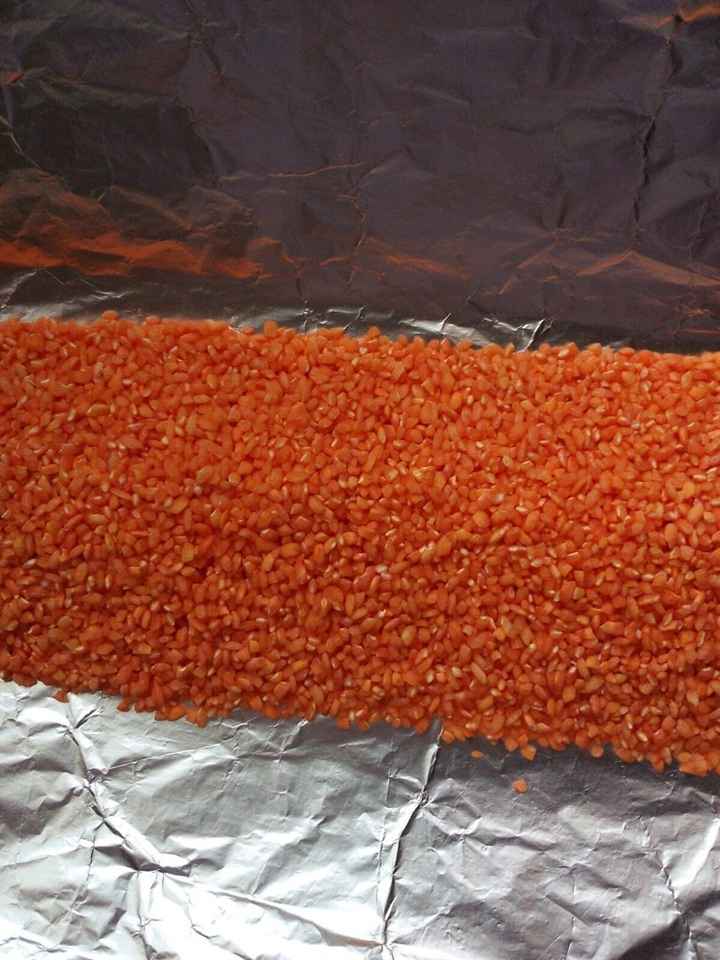 Arroz de colores - 2