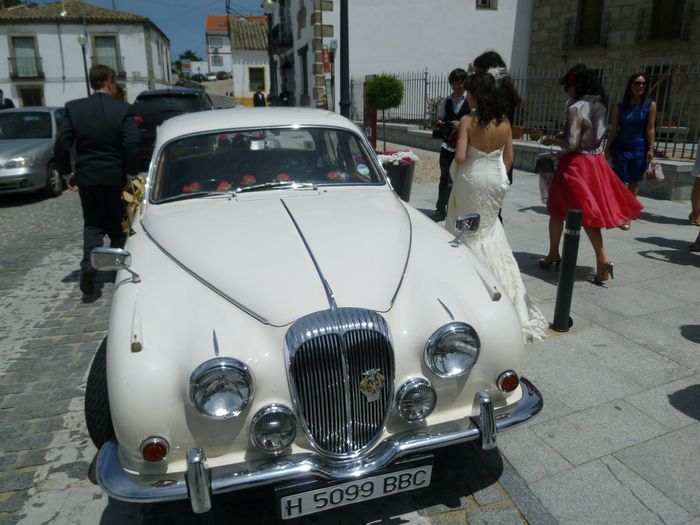 Jaguar1