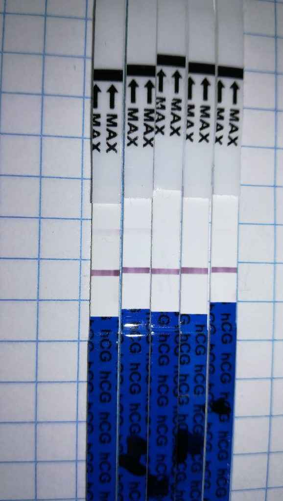  Buscadoras de un primer embarazo y tras muchos intentos no llega - 1