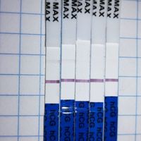 Buscadoras de un primer embarazo y tras muchos intentos no llega - 1