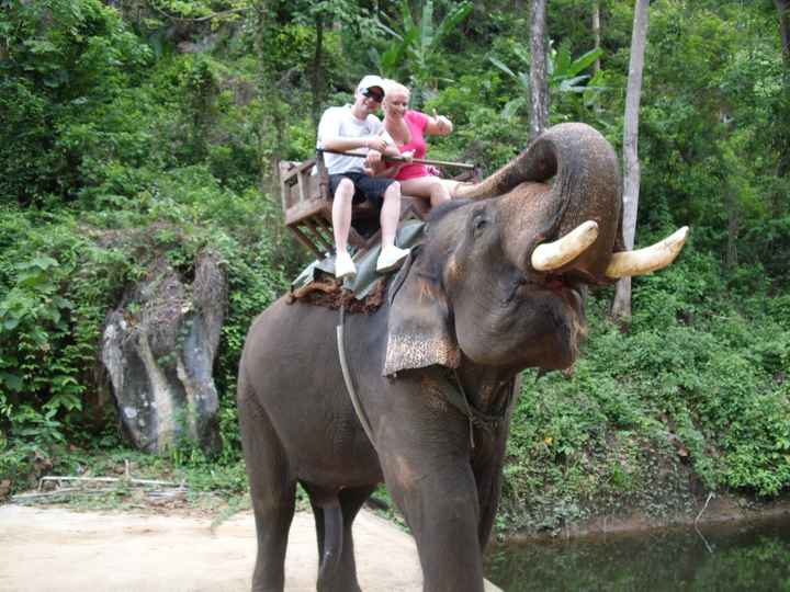 paseo  a lomos de elefante