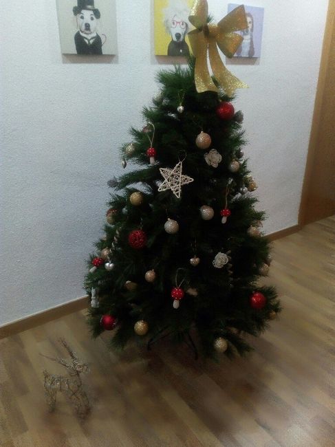  Primeras Navidades de casados!🌟🎄 - 2