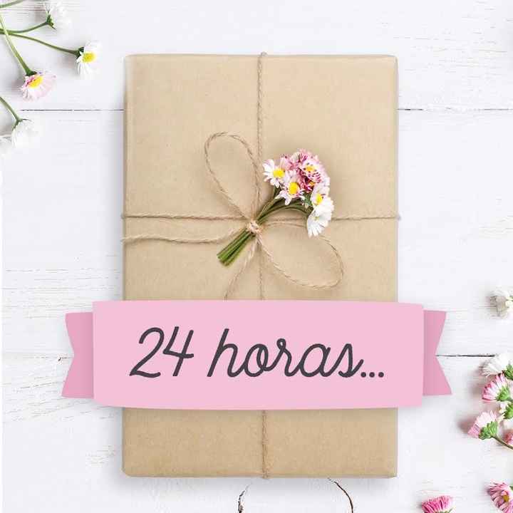 24 horas