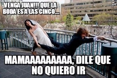 Meme boda