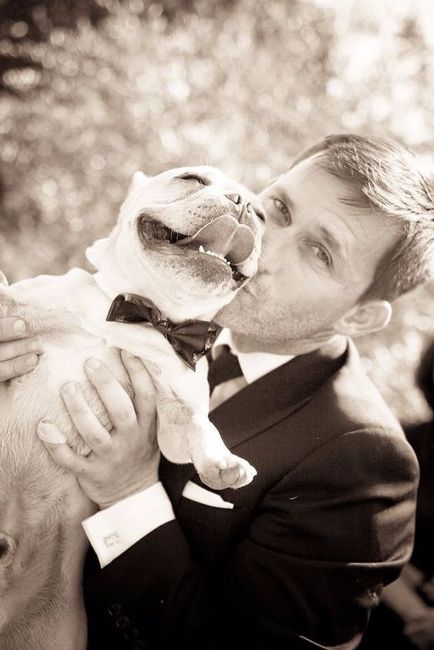 Bulldog