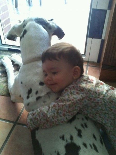 18 fotos de bebés con sus perros - Vota tu favorita - 1