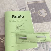 Plantilla cuadernillo rubio para testigos - 1