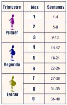 Equivalencia entre semanas y meses