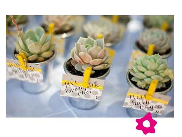 Decoración sencilla plantas