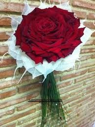 rosmelia