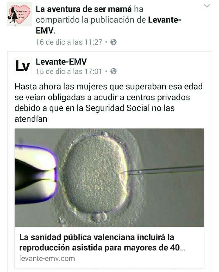 Buscadoras de sueños y milagros: IA, FIV, ICSI (Reproducción Asistida) - 1