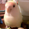 Inma