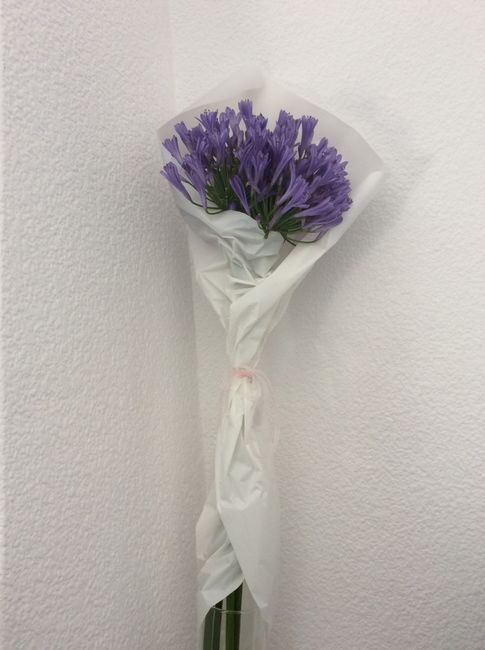 Elección  floristería - 1