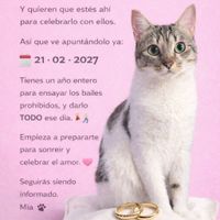 recomendaciones para el save the date - 1
