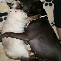 Mis niñas!!