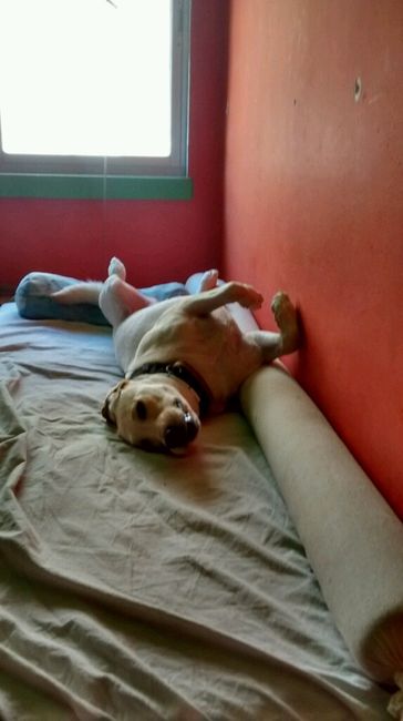 ¿cómo es vuestra casa? - 1