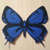 Mariposa de agradecimiento - 1