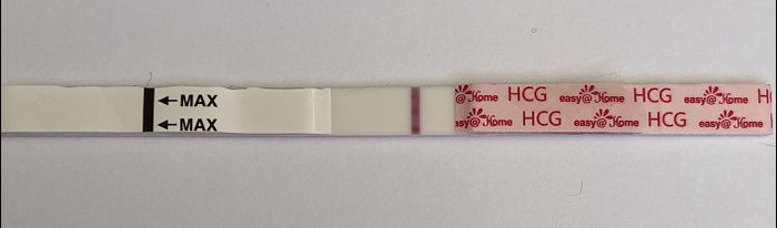 Buscadoras de Noviembre 2020. ☘️🥑💕 - 2