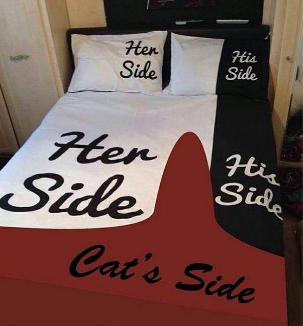 ¿Eres de las que invade media cama para dormir? 😂 - 1