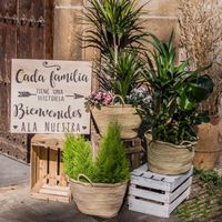 Boda 17-10-2020 - 2