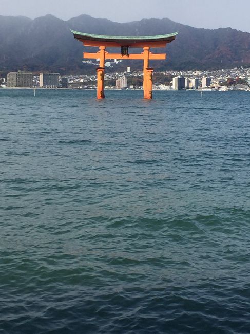 Japón-miyajima si o no - 1