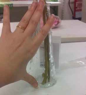 Botella 2