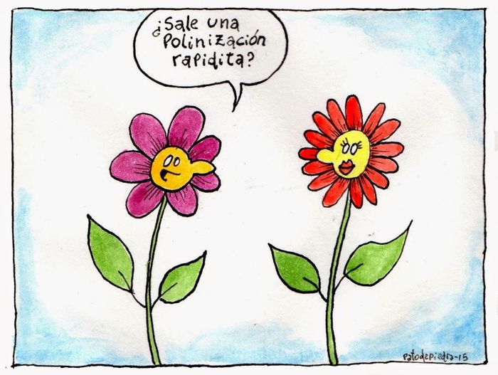 A polinizar se ha dicho!!